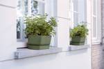 greenville trough long 50cm leaf green